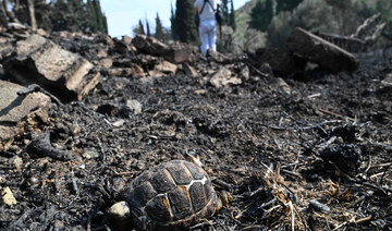 Charred cars, burning trees after deadly Israeli strikes on Syria