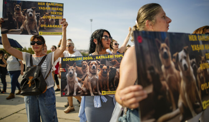 Thousands of Turks protest controversial law to remove stray dogs