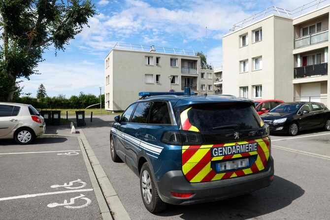 French man fatally stabs partner, two young children